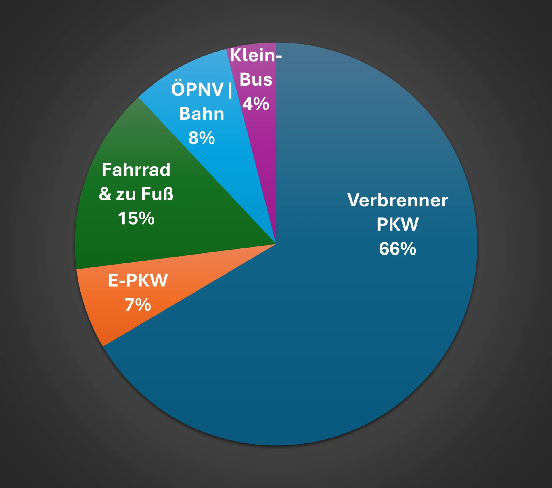 100.000 Entfernungskilometer der Sektion Braunschweig Januar – Juni 2024 nach Verkehrsmitteln  | © DAV Sektion Braunschweig