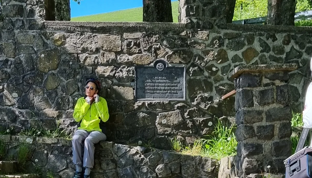 © Brigitta Aselmeier