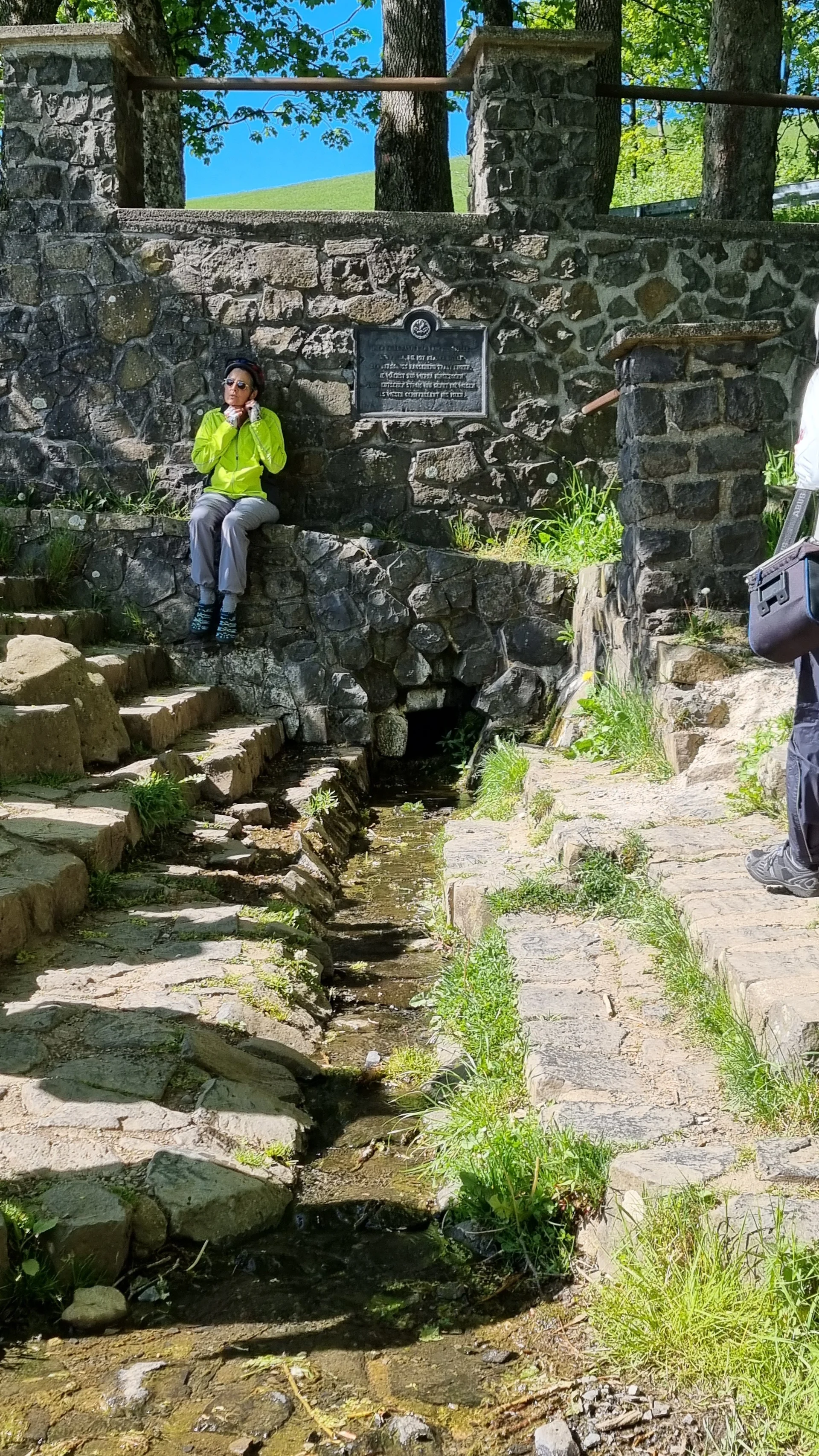 © Brigitta Aselmeier