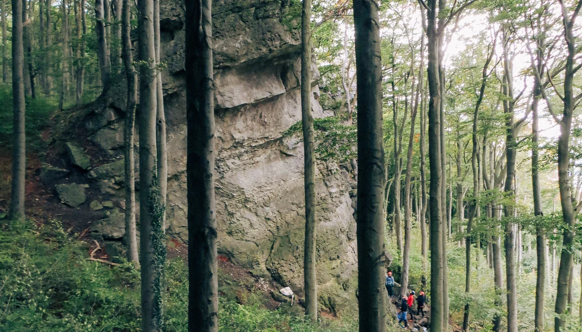 © Andreas Baumgartner