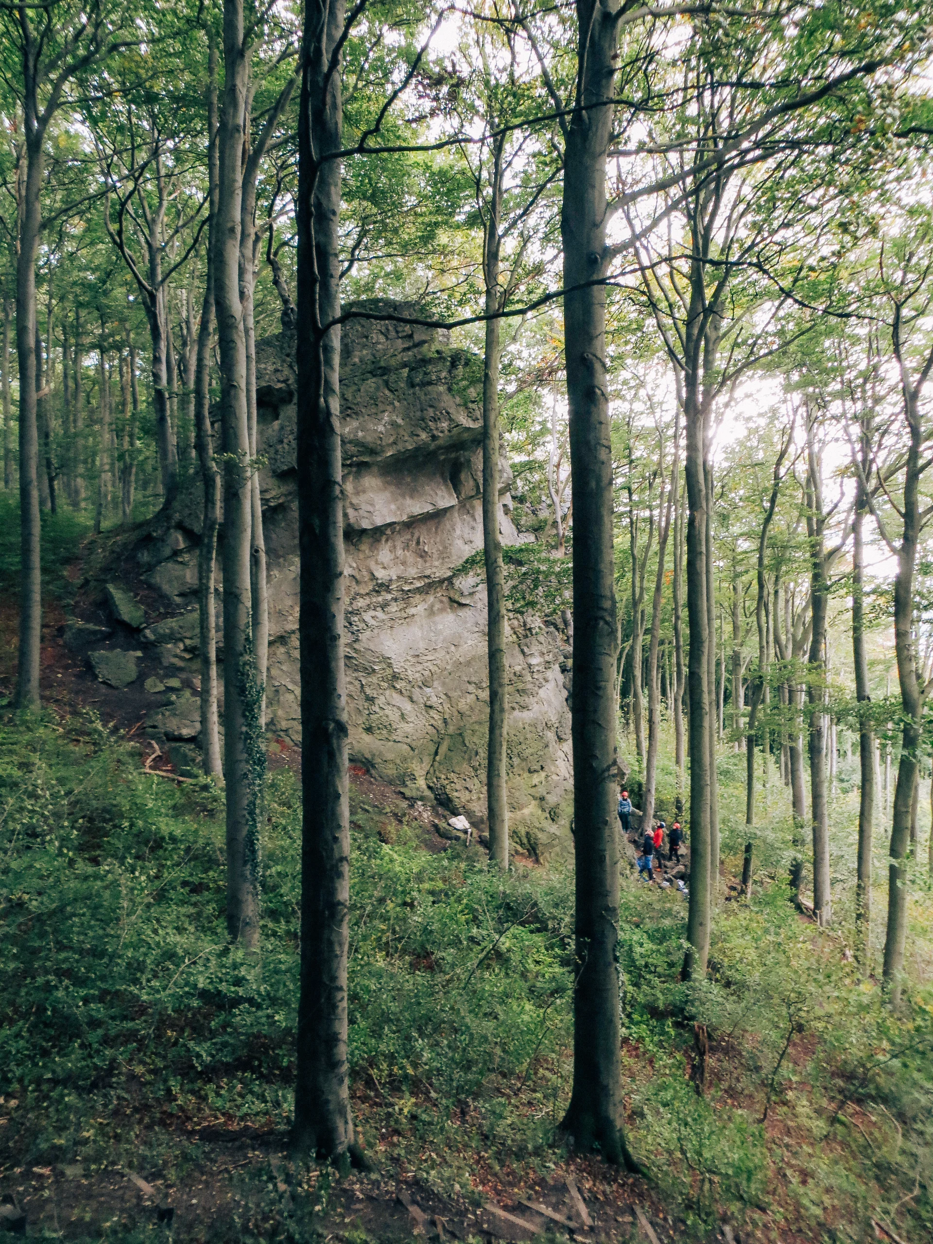 © Andreas Baumgartner