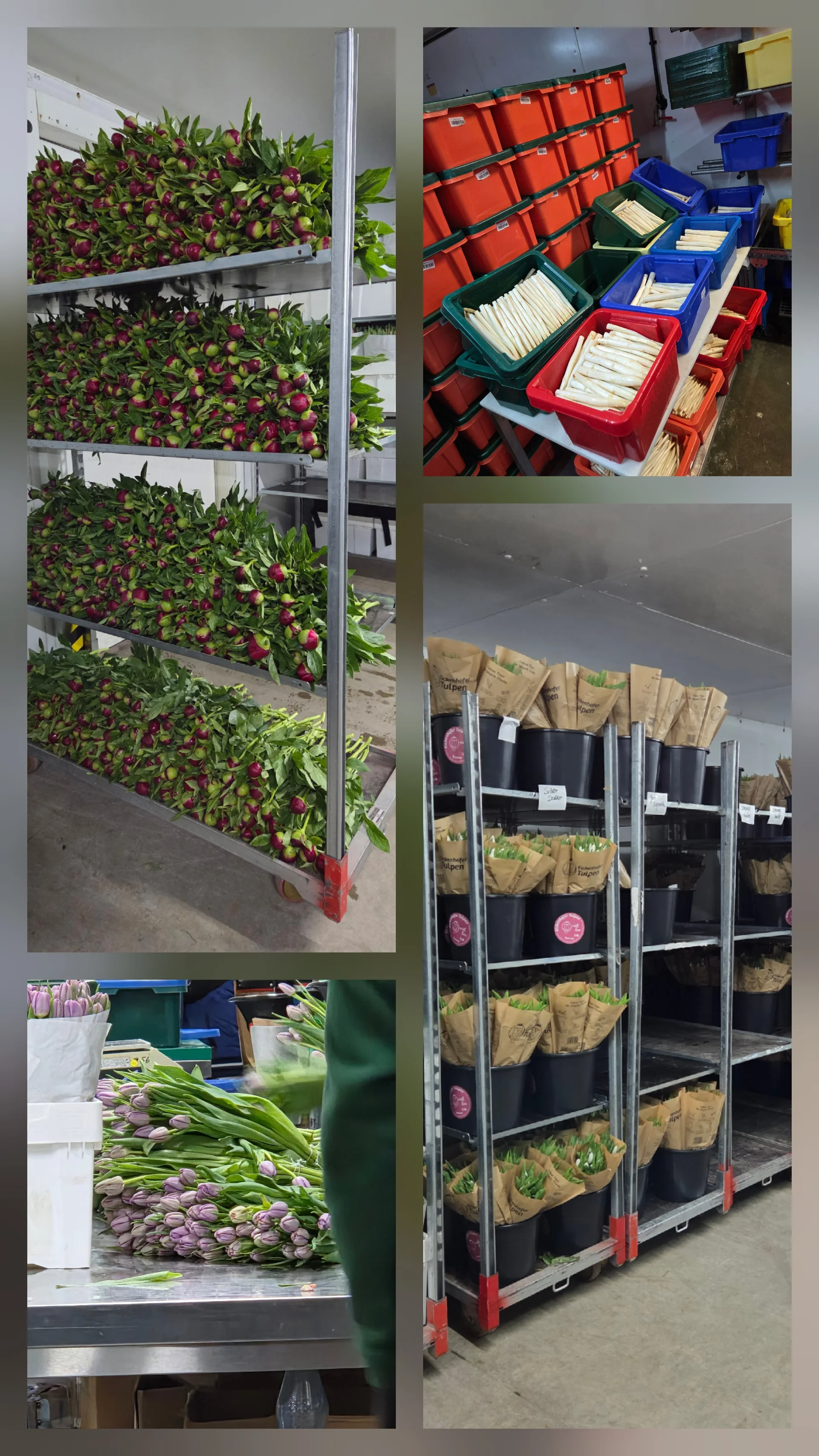 Eickenhof_3 | © Eickenhof_3