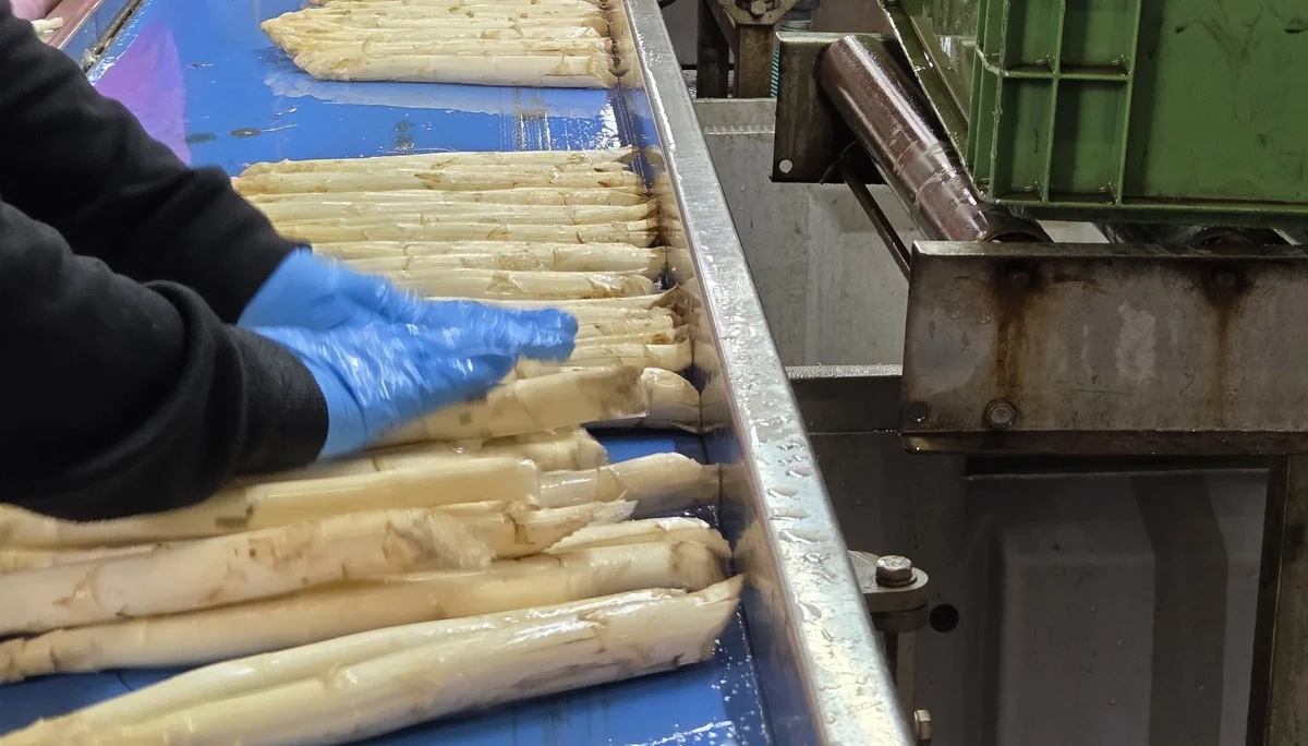 Eickenhof8 | © copyright/DAV BS WG/Anette Bock