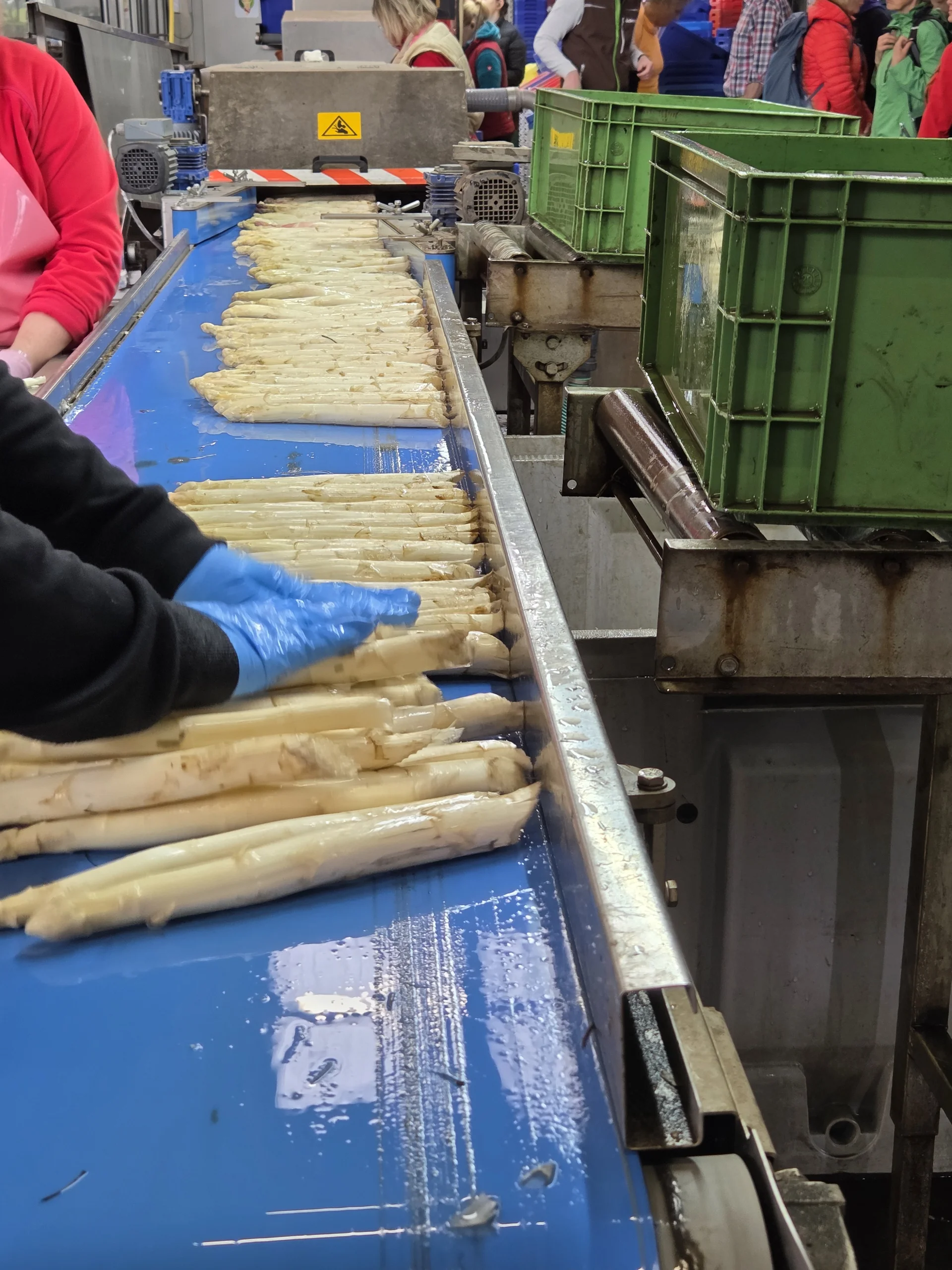 Eickenhof8 | © copyright/DAV BS WG/Anette Bock