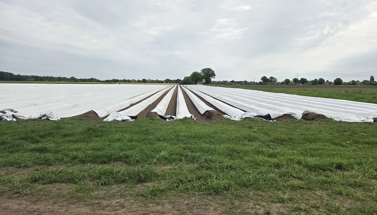 Eickenhof7 | © copyright/DAV BS WG/Anette Bock