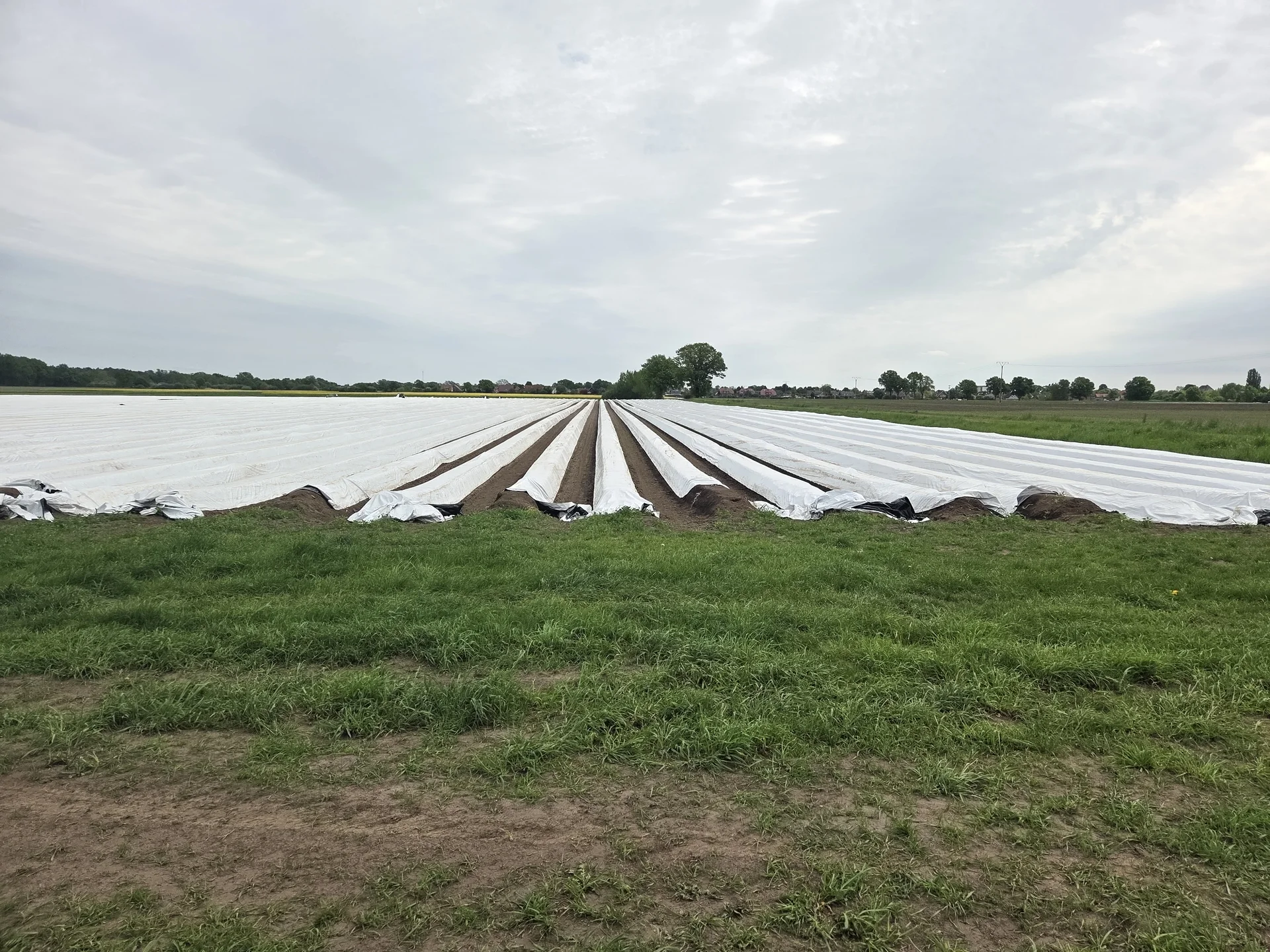 Eickenhof7 | © copyright/DAV BS WG/Anette Bock