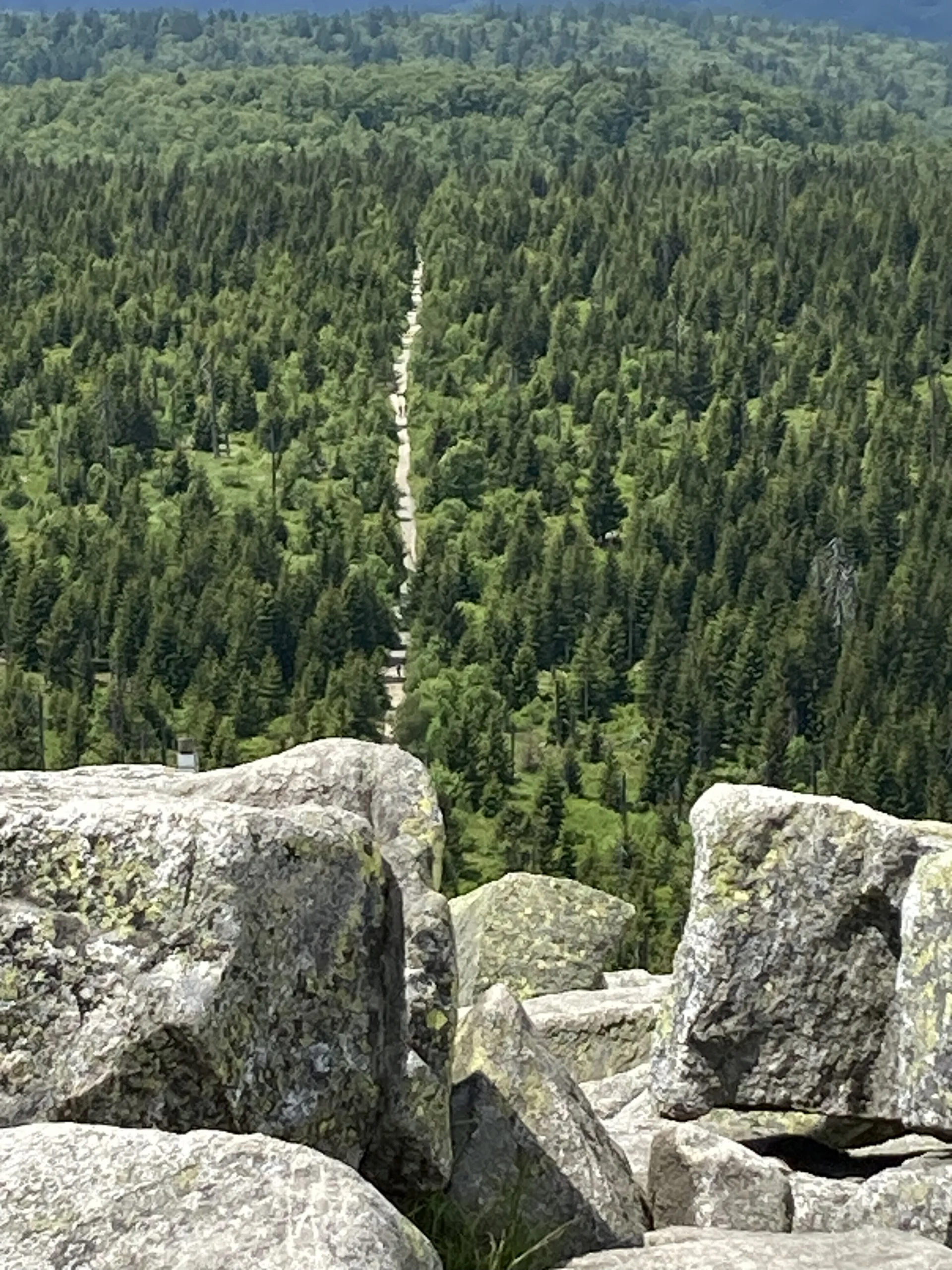 Himmelsleiter_Lusen 2025 | © copyright/DAV BS WG/Beate Engler