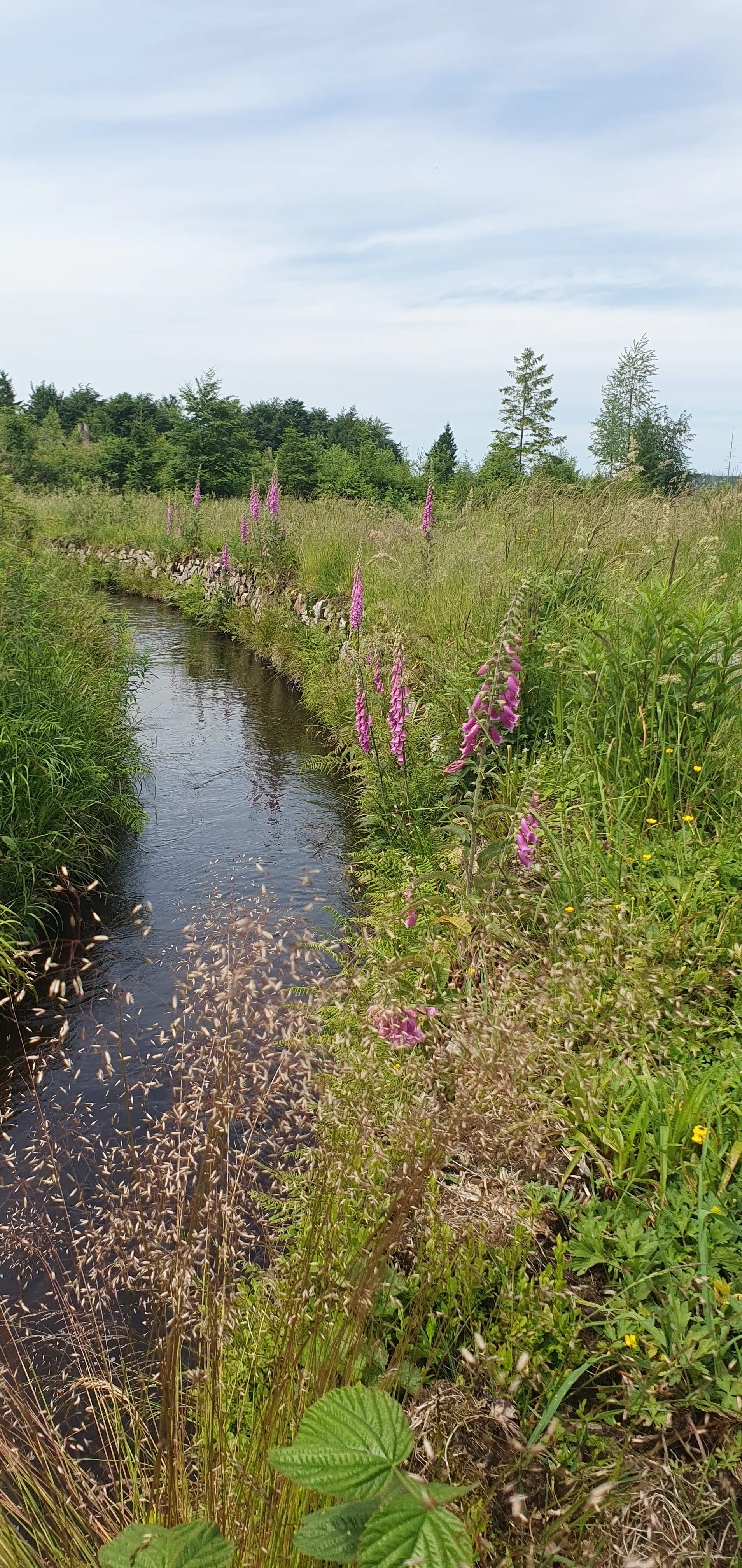 Oberh. Wasserregal | © Oberh. Wasserregal