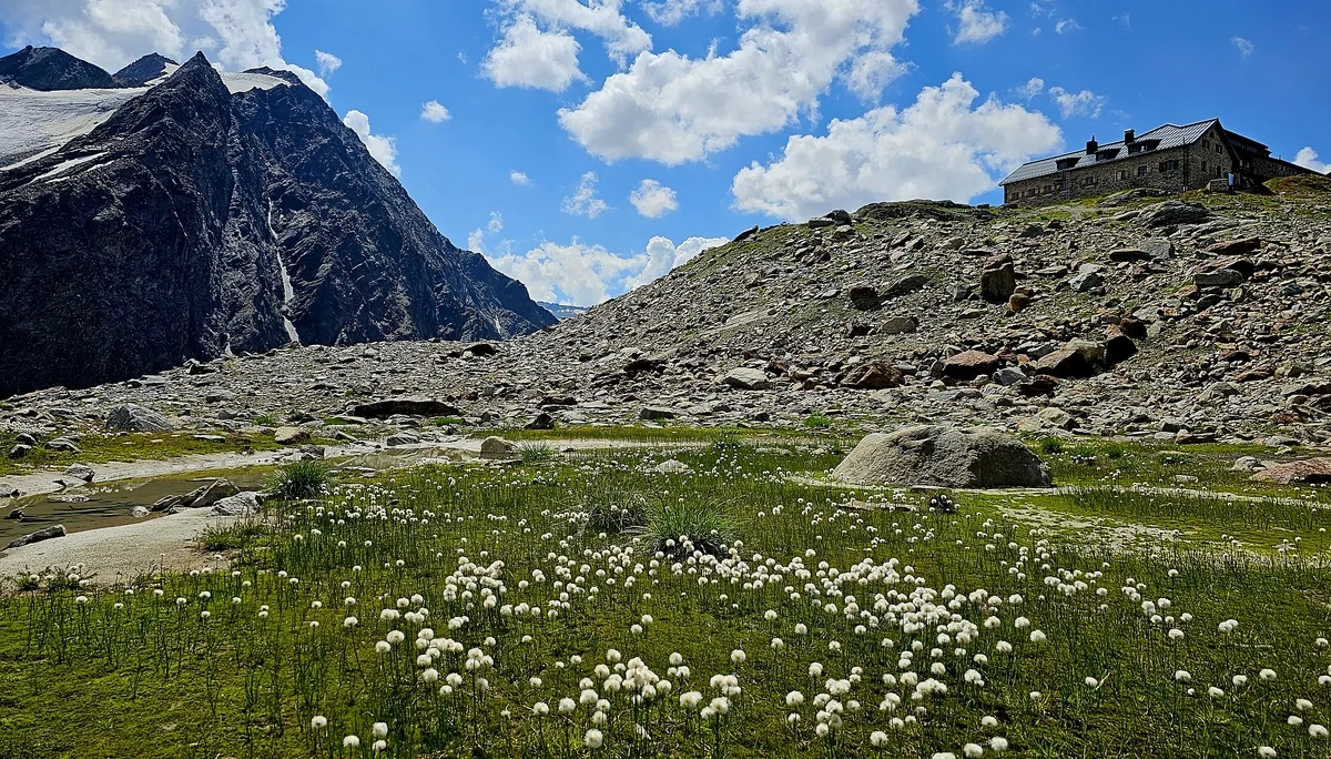 Blick auf Braunschweiger Hütte mit Blumenwiese im Vordergrund | © Braunschweiger Hütte/Melanie Neurauter