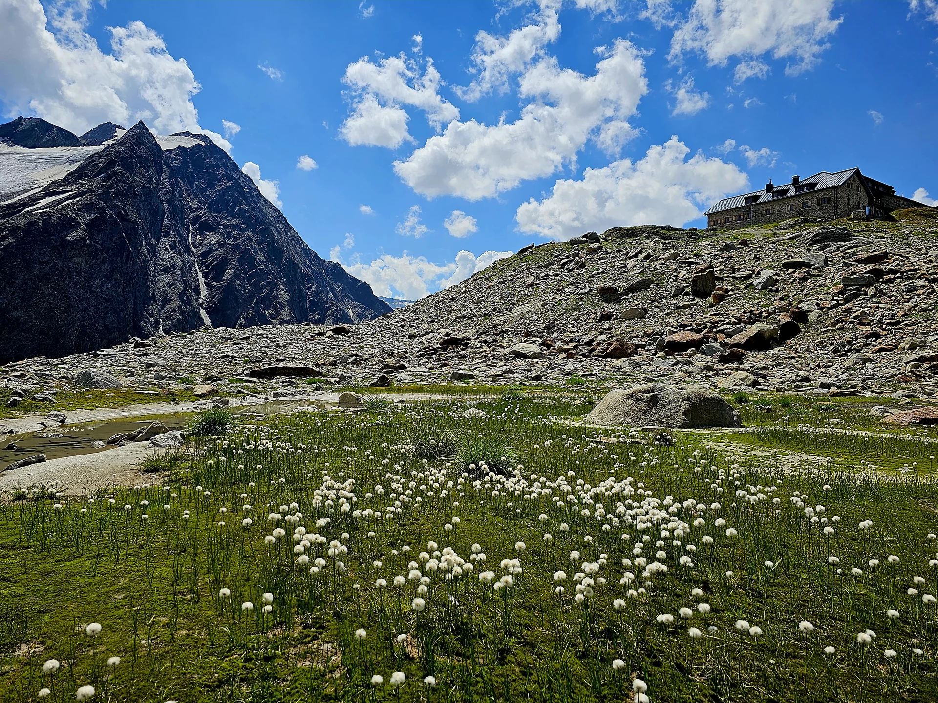 Blick auf Braunschweiger Hütte mit Blumenwiese im Vordergrund | © Braunschweiger Hütte/Melanie Neurauter