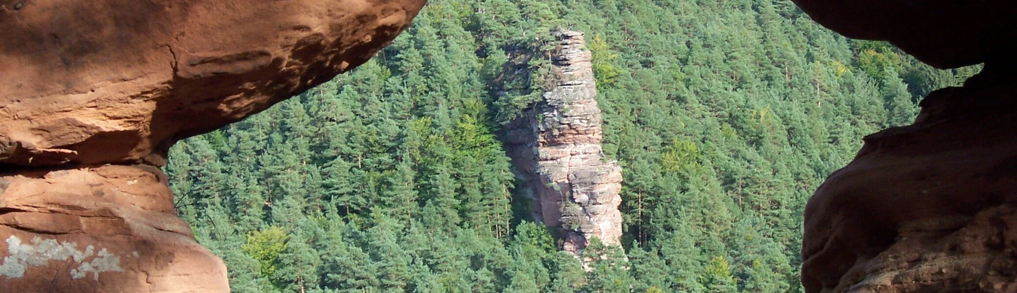 Blick über ein Loch im Feld auf den Glasfelsen im Pfälzerwald. | © DAV/Markus Maier