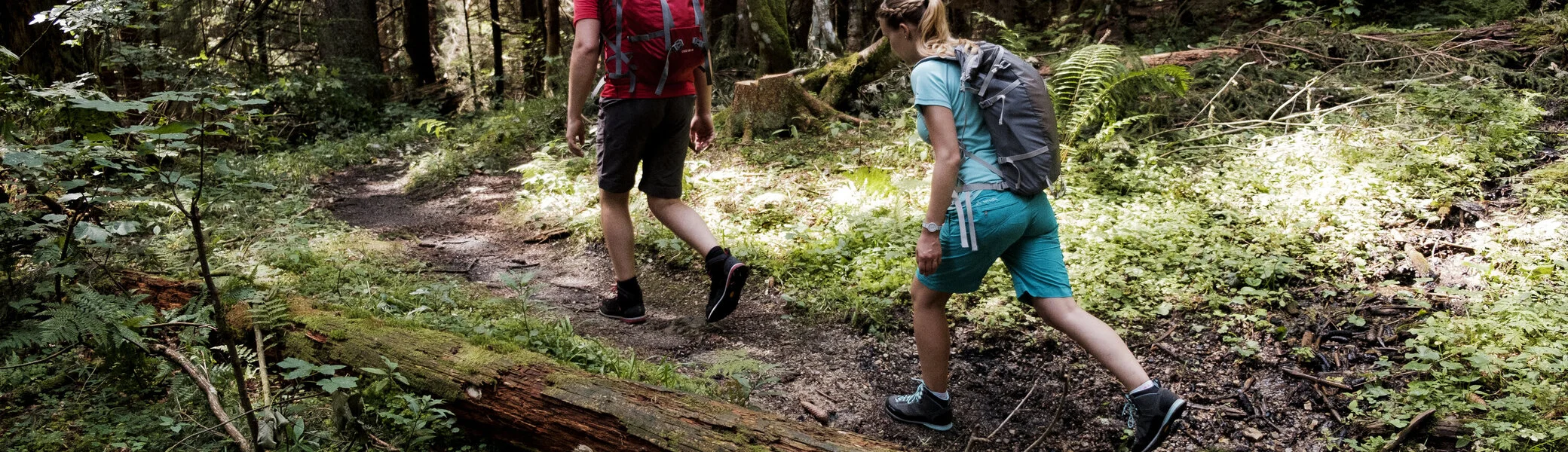 Zwei Wanderer auf dem Weg durch einen Wald | © DAV/Hans Herbig