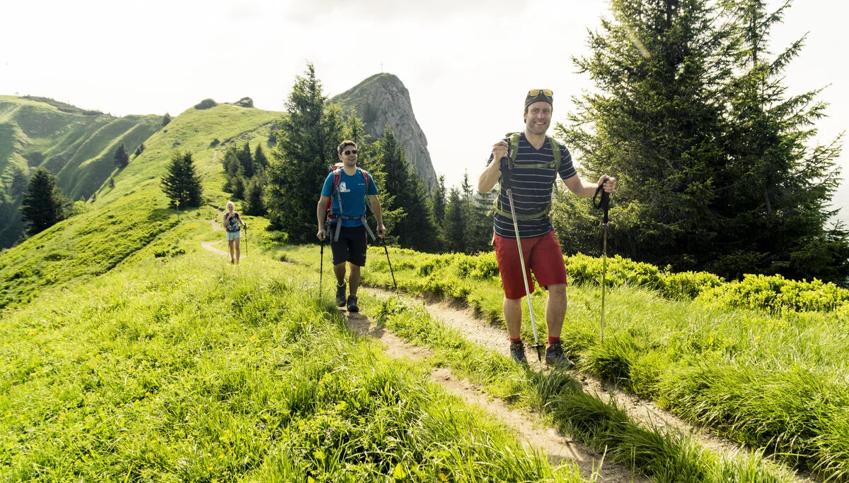 Zwei Wanderer mit Stöcken marschieren über einen grünen Bergpfad | © DAV/Hans Herbig